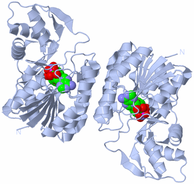 Image Biological Unit 2