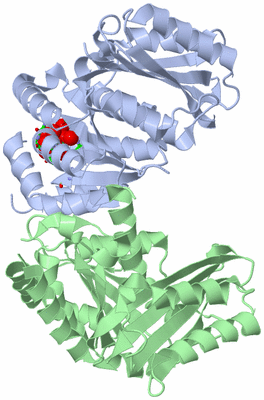 Image Asym./Biol. Unit - sites