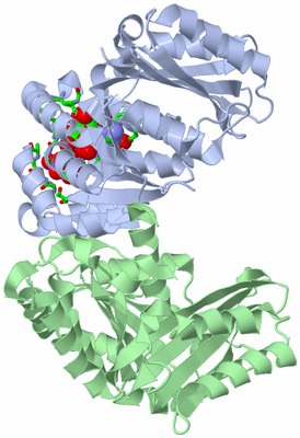 Image Asym./Biol. Unit - sites