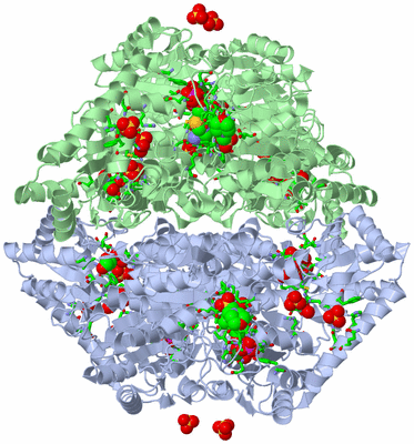 Image Biol. Unit 1 - sites