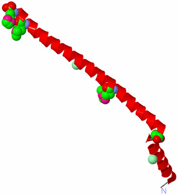 Image Asymmetric Unit