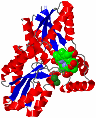 Image Asym./Biol. Unit