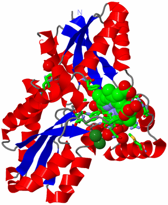 Image Asym./Biol. Unit - sites