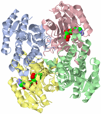 Image Biological Unit 1