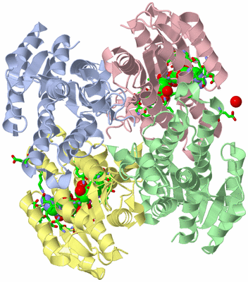 Image Biol. Unit 1 - sites