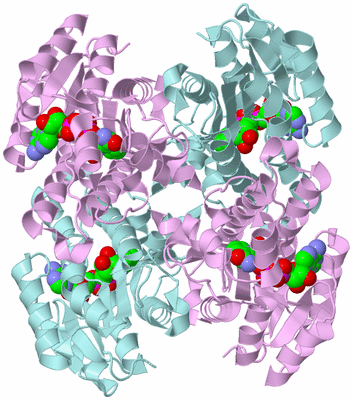 Image Biological Unit 2