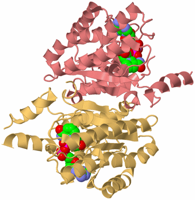 Image Biological Unit 3