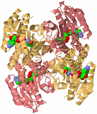 Image Biological Unit 4