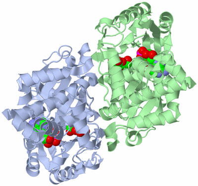 Image Asym./Biol. Unit