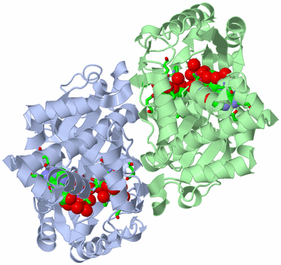 Image Asym./Biol. Unit - sites