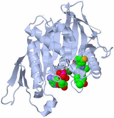 Image Biological Unit 1