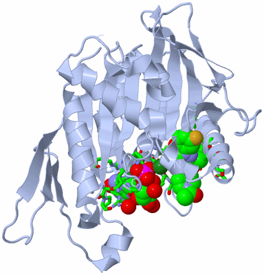 Image Biol. Unit 1 - sites