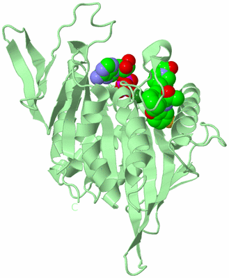 Image Biological Unit 2