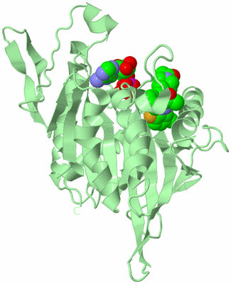 Image Biological Unit 2