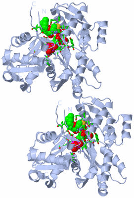 Image Biol. Unit 1 - sites