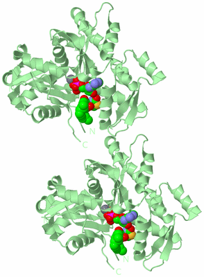 Image Biological Unit 2