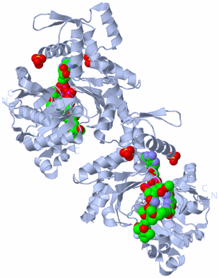 Image Biological Unit 1