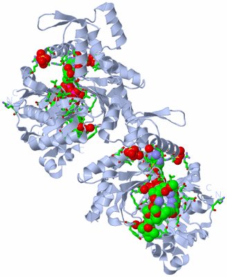 Image Biol. Unit 1 - sites