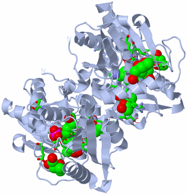 Image Biol. Unit 1 - sites