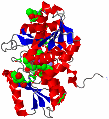 Image Asym. Unit - sites