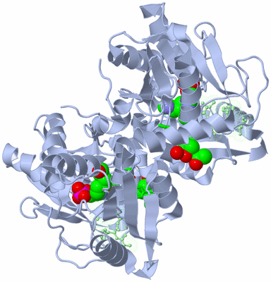 Image Biol. Unit 1 - sites