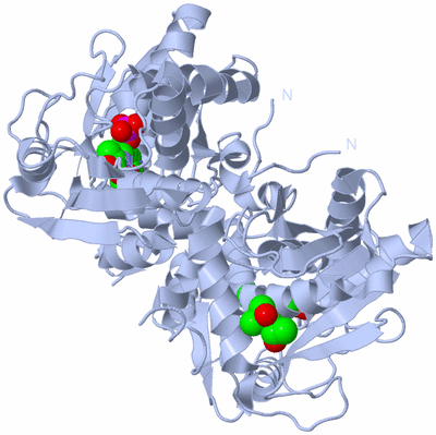 Image Biological Unit 1