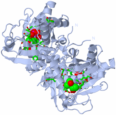 Image Biol. Unit 1 - sites