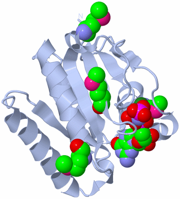 Image Biological Unit 1
