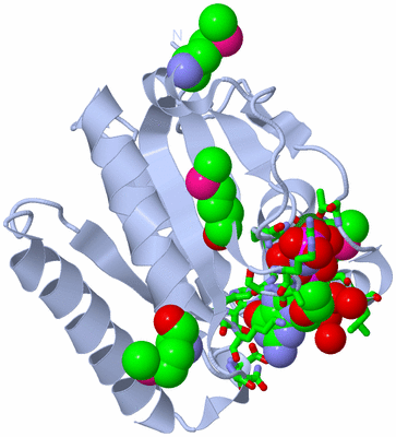 Image Biol. Unit 1 - sites