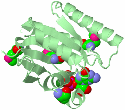 Image Biological Unit 2