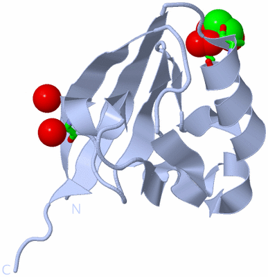 Image Biol. Unit 1 - sites