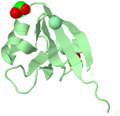 Image Biological Unit 2