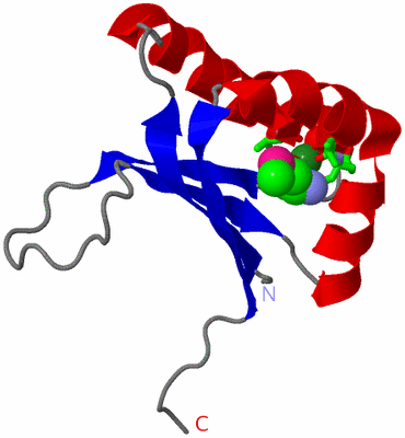 Image Asym. Unit - sites