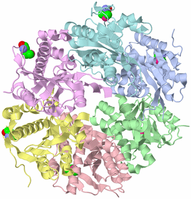 Image Biological Unit 1