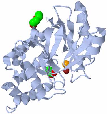 Image Biological Unit 1