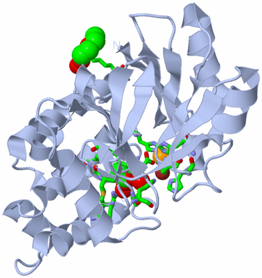 Image Biol. Unit 1 - sites