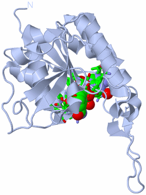 Image Biol. Unit 1 - sites