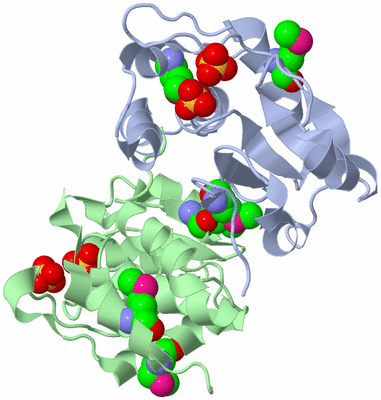 Image Biological Unit 1