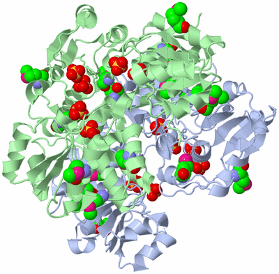 Image Biological Unit 2