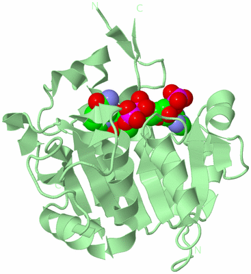 Image Biological Unit 2