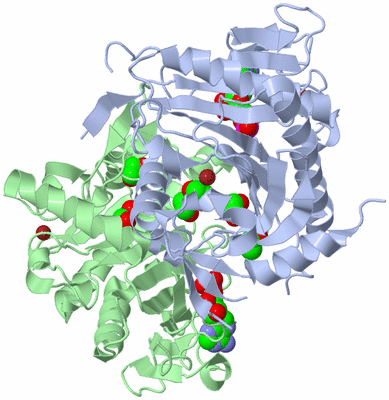 Image Biological Unit 1