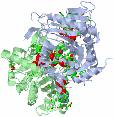 Image Biol. Unit 1 - sites