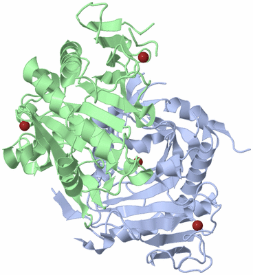 Image Biological Unit 1