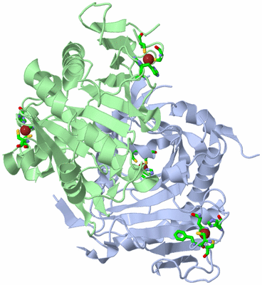 Image Biol. Unit 1 - sites