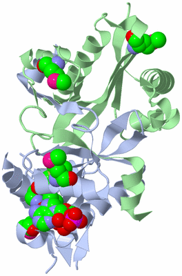 Image Biological Unit 1