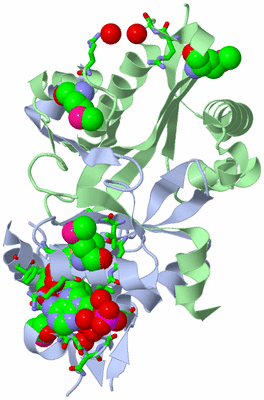 Image Biol. Unit 1 - sites