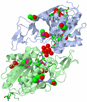 Image Biol. Unit 1 - sites