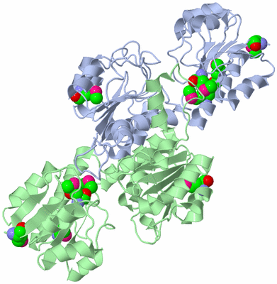 Image Biological Unit 1