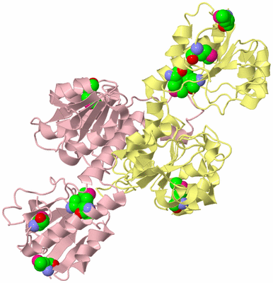 Image Biological Unit 2