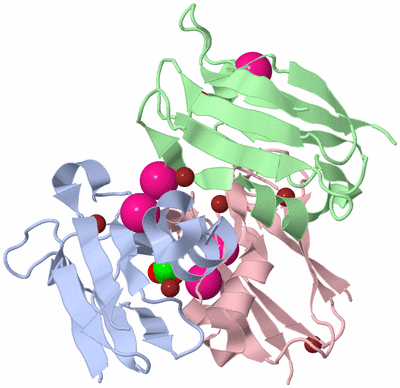 Image Biological Unit 4